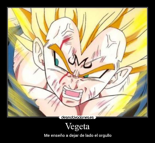 Vegeta - Me enseño a dejar de lado el orgullo