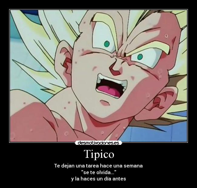 Tipico -