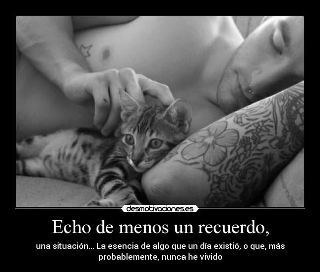 carteles raptorhunters preguntes salido punto desmotivaciones