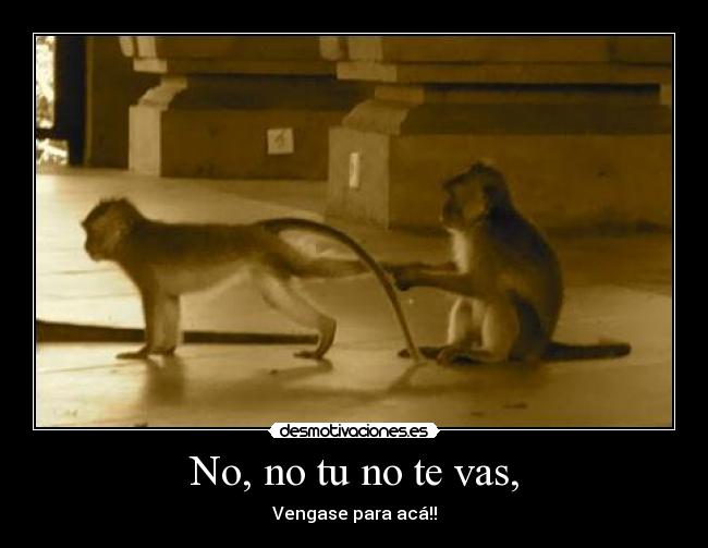 No, no tu no te vas, -