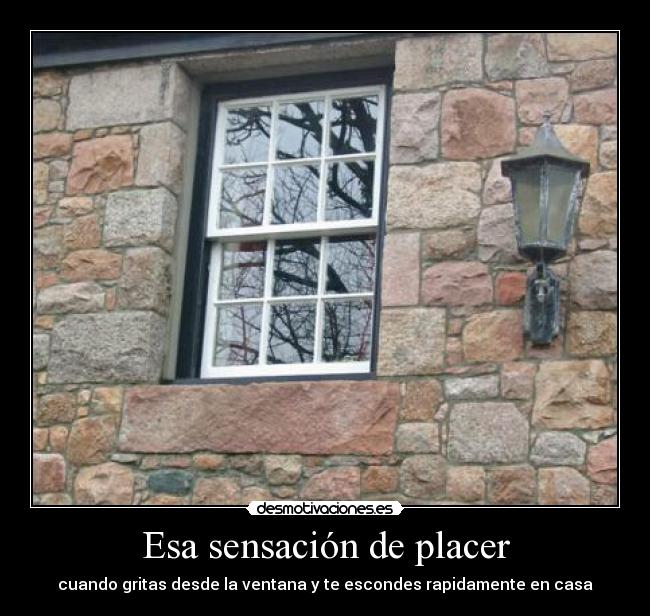 Esa sensación de placer - cuando gritas desde la ventana y te escondes rapidamente en casa