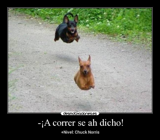 -¡A correr se ah dicho! - +Nivel: Chuck Norris
