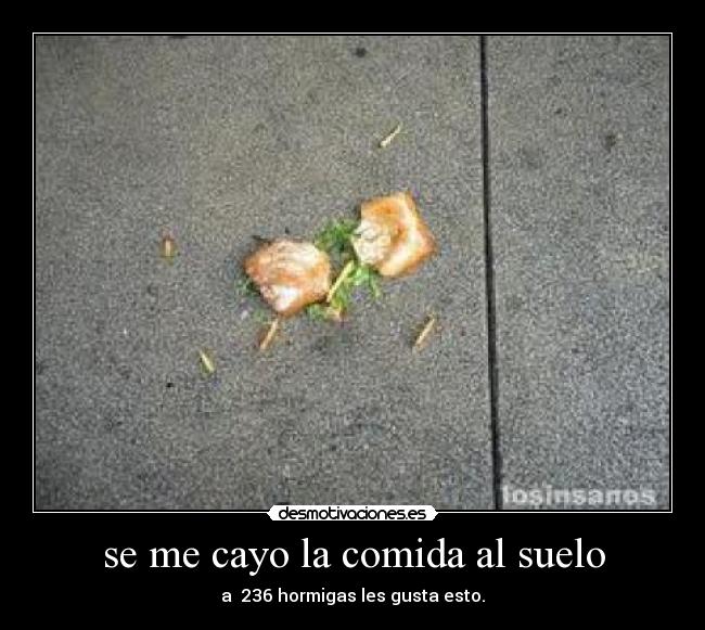se me cayo la comida al suelo - 