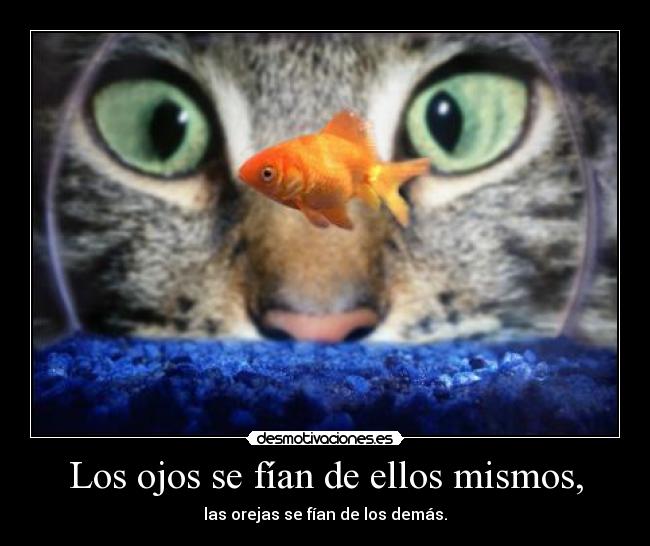 Los ojos se fían de ellos mismos, - las orejas se fían de los demás.