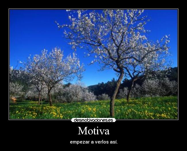 Motiva -