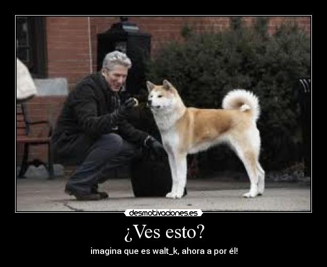 carteles gusto desmotivaciones