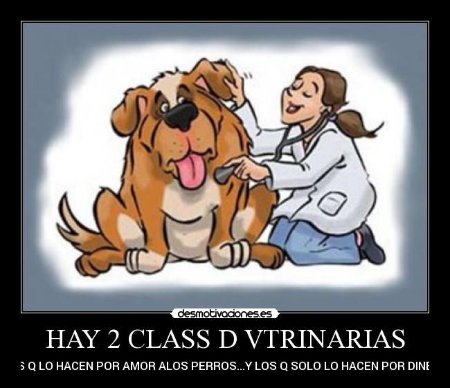 carteles maylen20 desmotivaciones