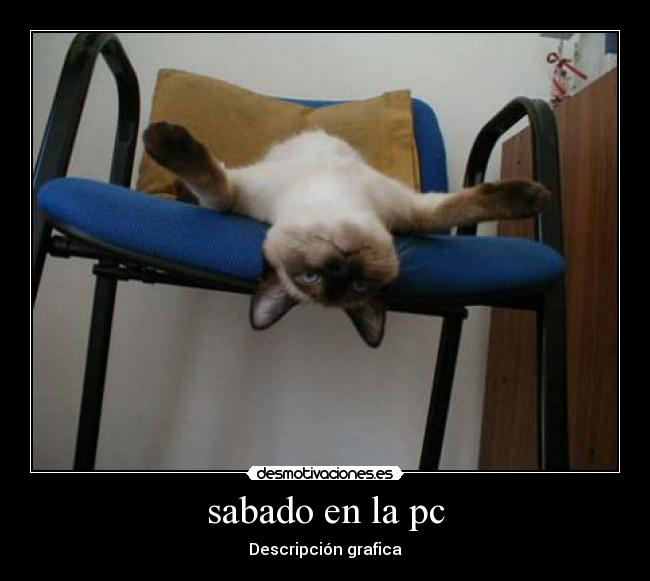 sabado en la pc - 