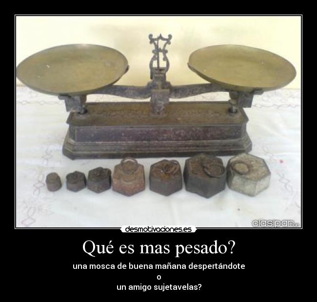 Qué es mas pesado? - una mosca de buena mañana despertándote
o
un amigo sujetavelas?