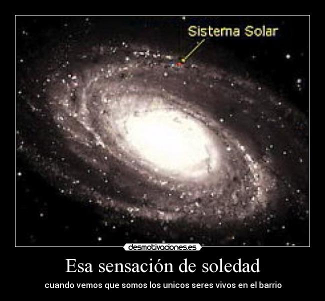 Esa sensación de soledad - cuando vemos que somos los unicos seres vivos en el barrio