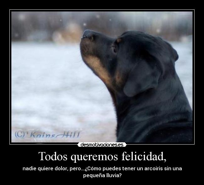 Todos queremos felicidad, -