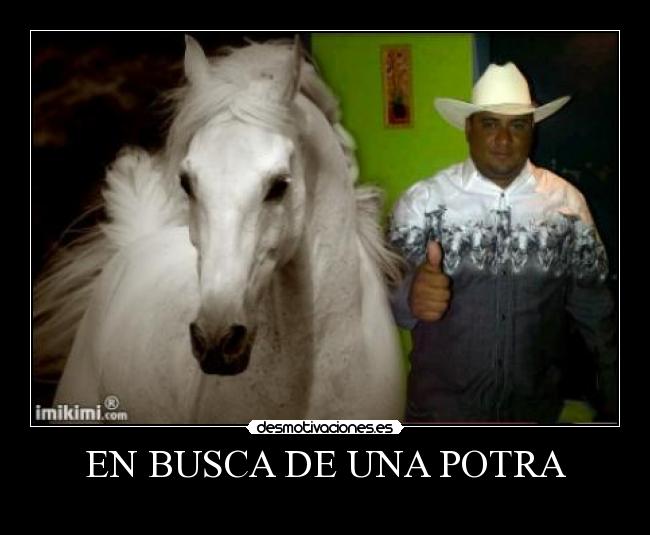 EN BUSCA DE UNA POTRA -