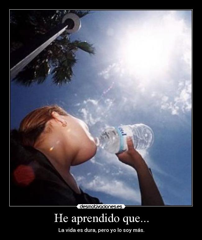 carteles aprendido vida dura mas desmotivaciones