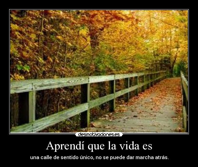 Aprendí que la vida es - una calle de sentido único, no se puede dar marcha atrás.