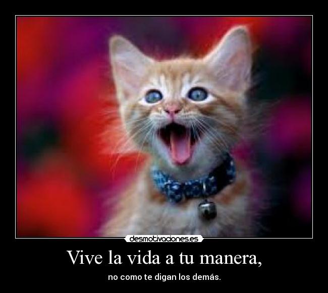 Vive la vida a tu manera, - 