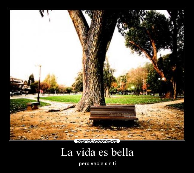 La vida es bella - 