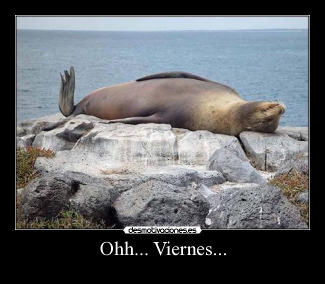 Ohh... Viernes... -