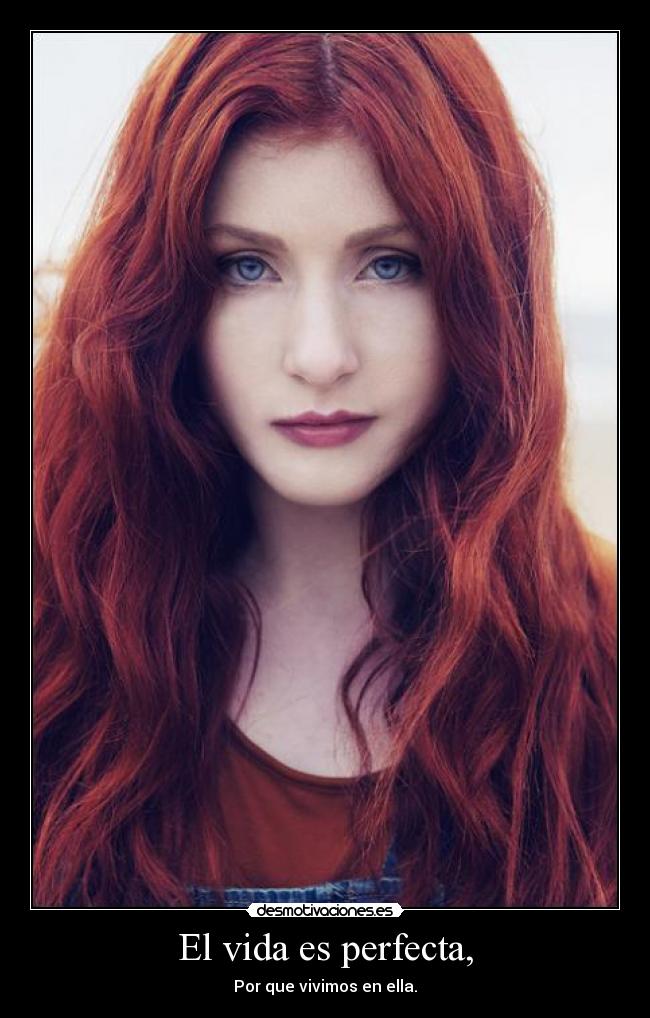 carteles vida vida desmotivaciones