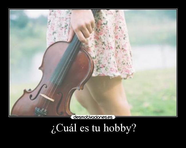 carteles hobby desmotivaciones
