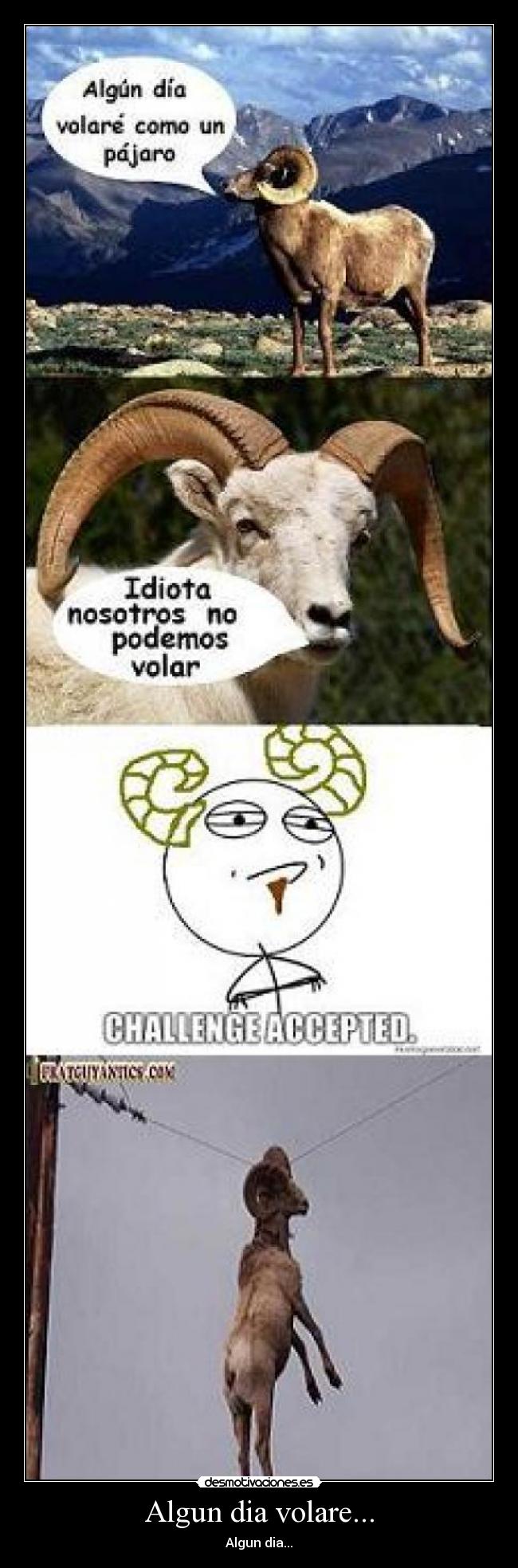 Algun dia volare... -