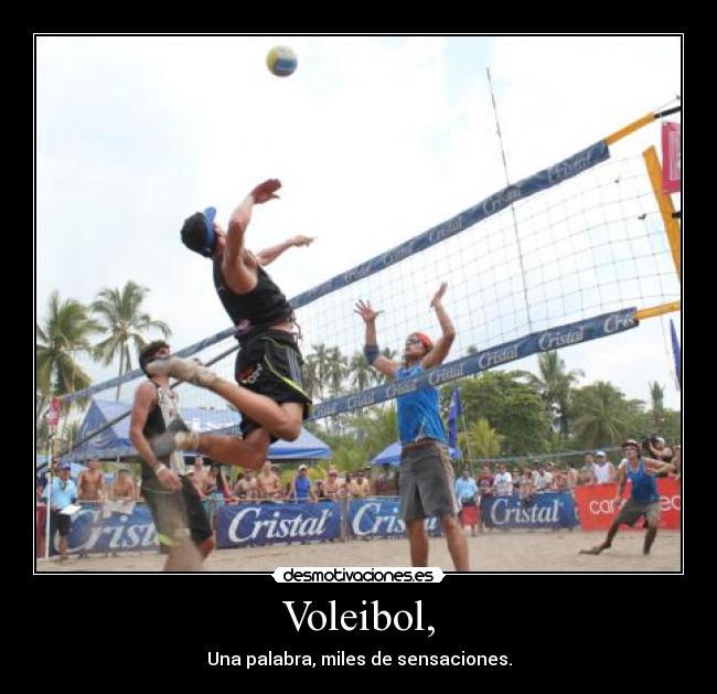 Voleibol, -