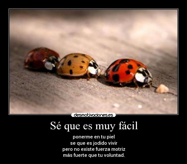 Sé que es muy fácil - ponerme en tu piel
se que es jodido vivir
pero no existe fuerza motriz
más fuerte que tu voluntad.