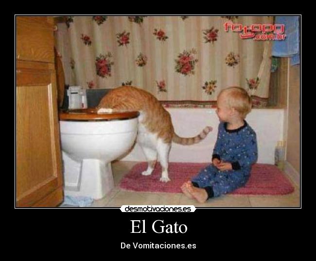 El Gato - De Vomitaciones.es