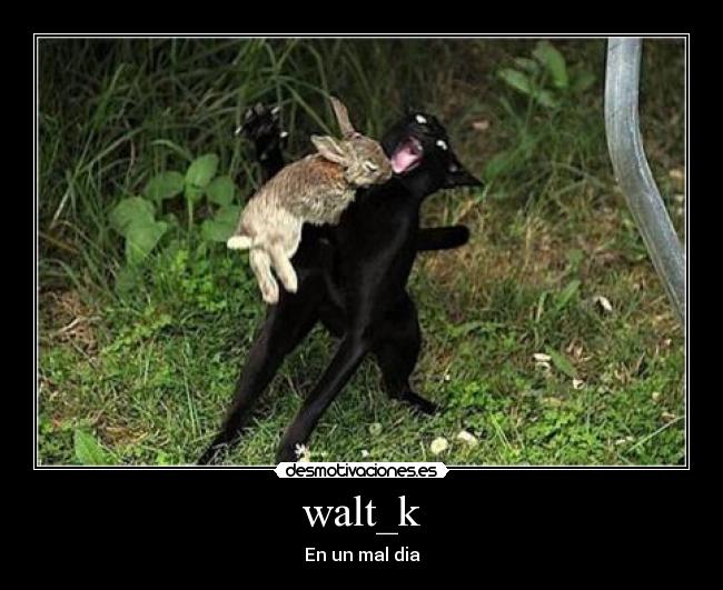 carteles walt mal dia desmotivaciones