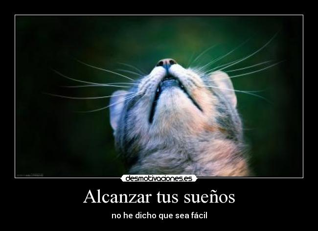 Alcanzar tus sueños - no he dicho que sea fácil