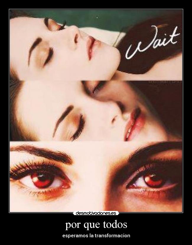 carteles por que todos esperabamos transformacion desmotivaciones