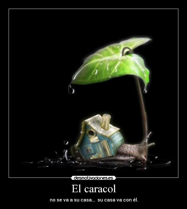 El caracol - no se va a su casa... su casa va con él.
