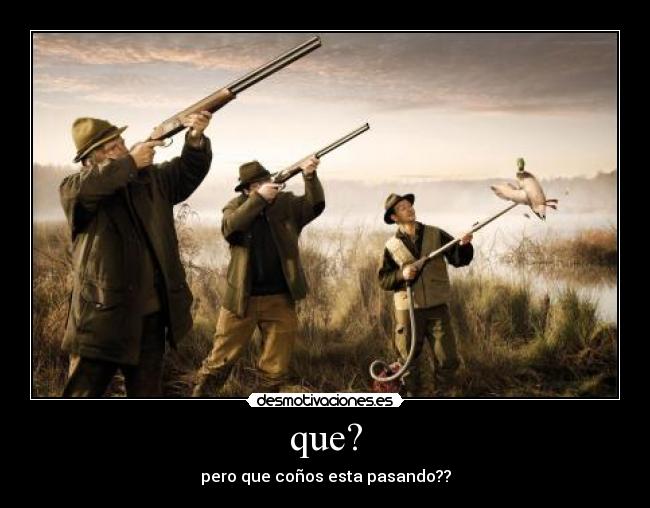que? - pero que coños esta pasando??