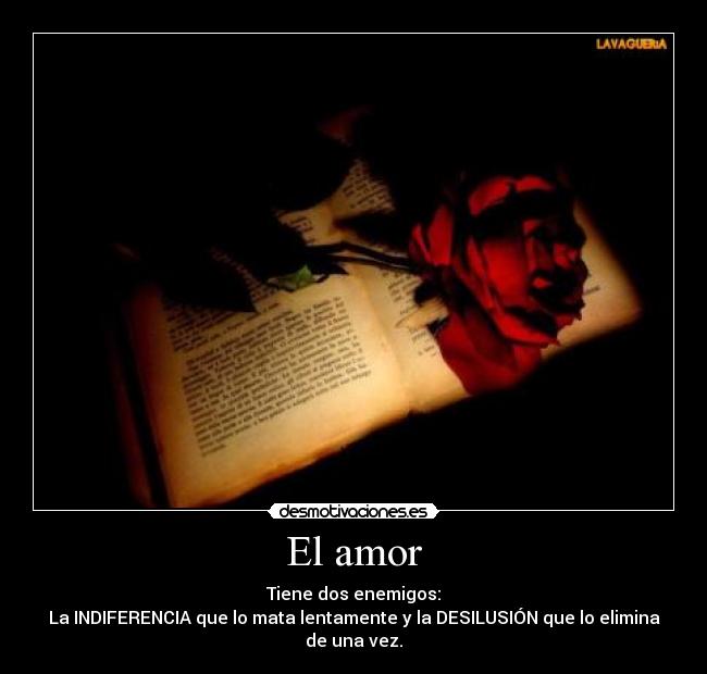 El amor - 