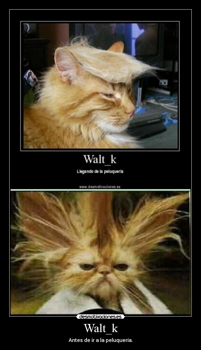 Walt_k -