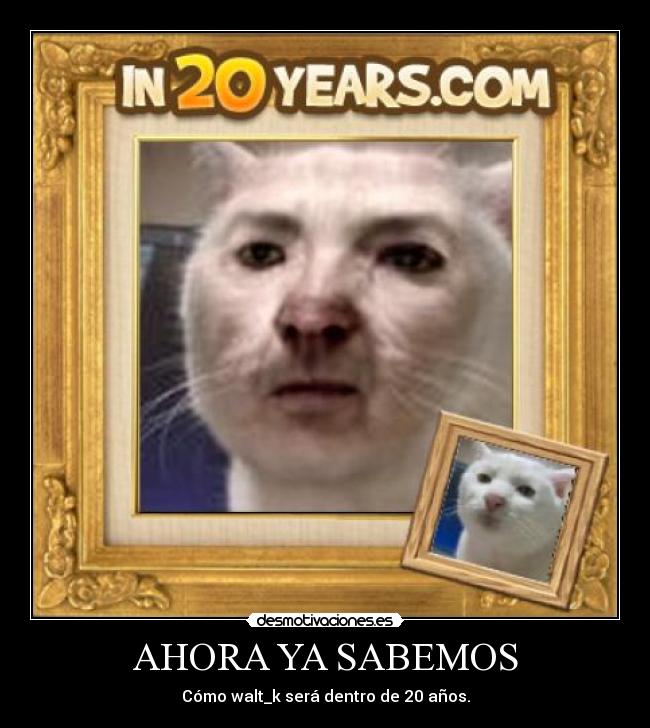 AHORA YA SABEMOS - Cómo walt_k será dentro de 20 años.