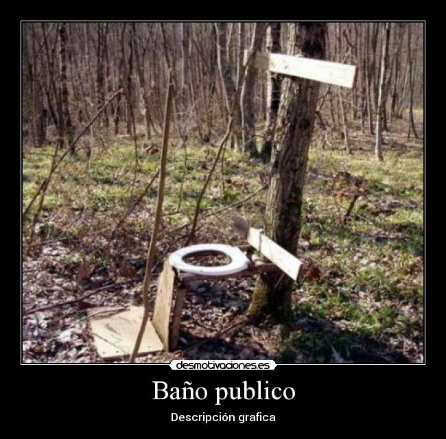 Baño publico - Descripción grafica