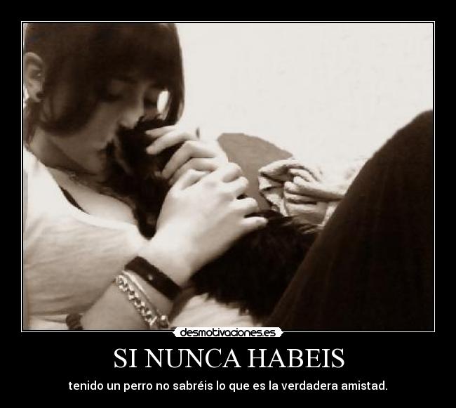 SI NUNCA HABEIS -