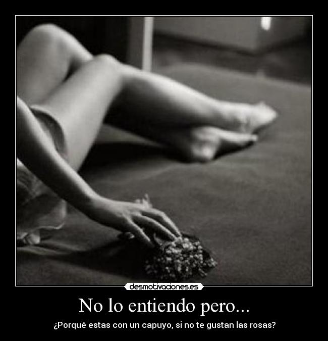 No lo entiendo pero... - ¿Porqué estas con un capuyo, si no te gustan las rosas?