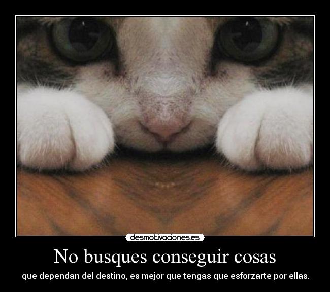 No busques conseguir cosas - que dependan del destino, es mejor que tengas que esforzarte por ellas.
