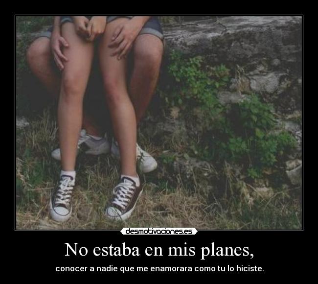 No estaba en mis planes, - conocer a nadie que me enamorara como tu lo hiciste.