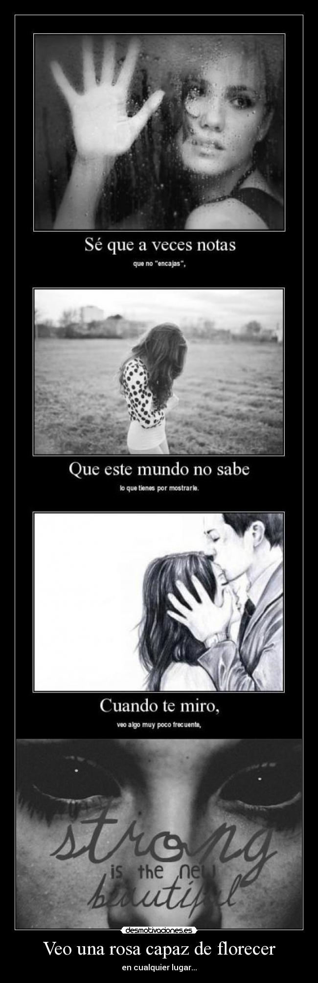 Veo una rosa capaz de florecer -