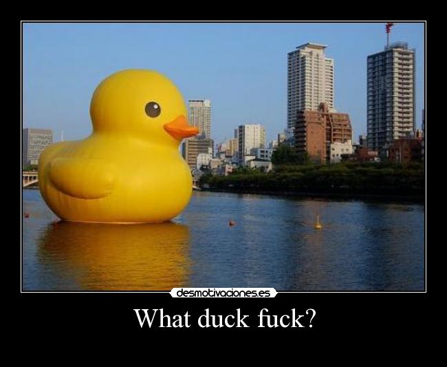 What duck fuck? - 
