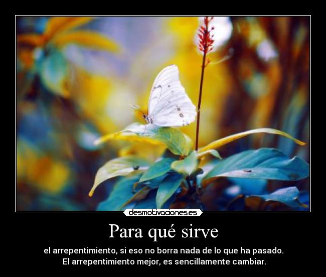 Para qué sirve - 