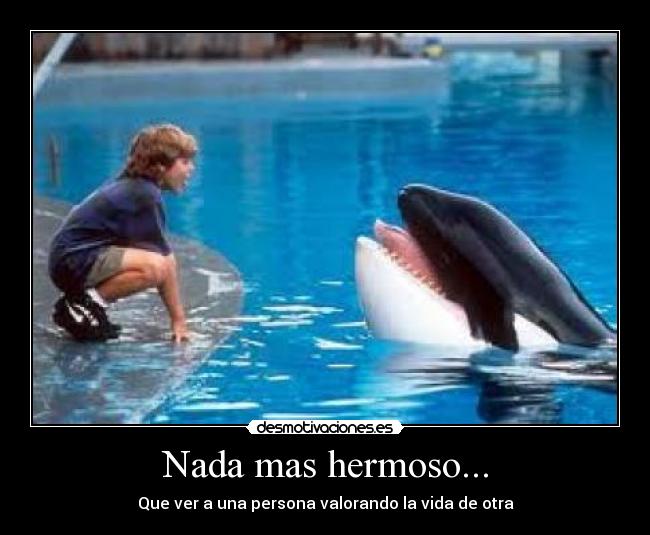 Nada mas hermoso... - Que ver a una persona valorando la vida de otra