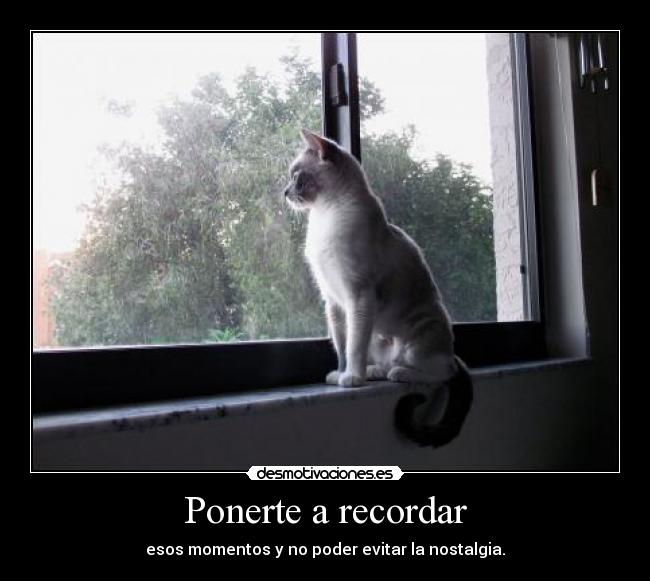 Ponerte a recordar - esos momentos y no poder evitar la nostalgia.