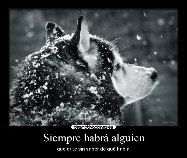 Siempre habrá alguien - 