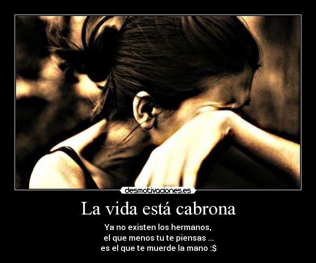 La vida está cabrona - Ya no existen los hermanos,
el que menos tu te piensas ...
es el que te muerde la mano :$