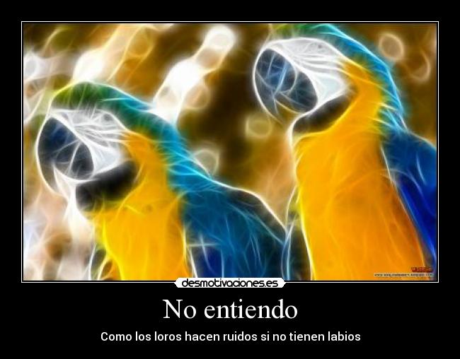 No entiendo - 