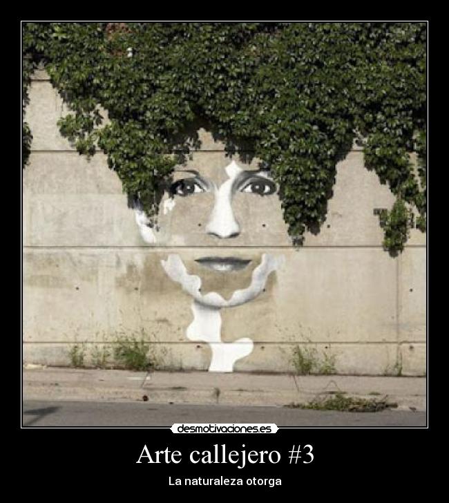 Arte callejero #3 - La naturaleza otorga