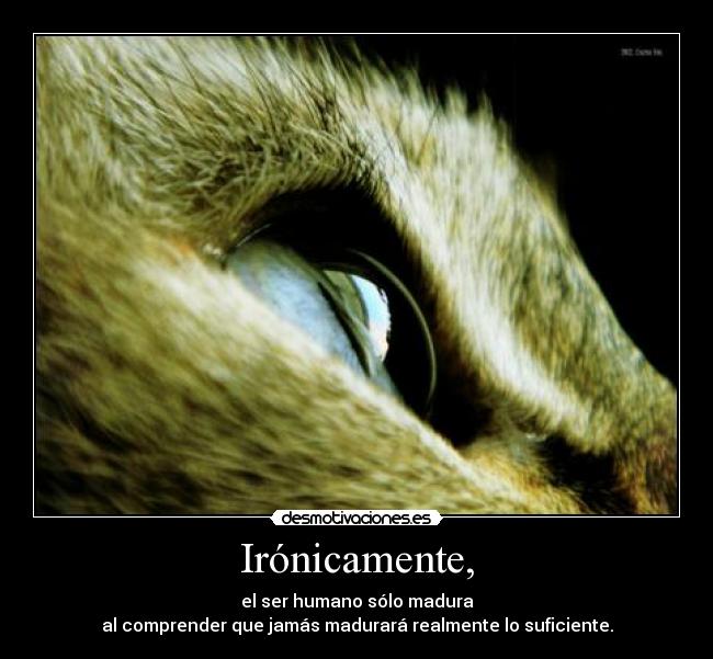 Irónicamente, - el ser humano sólo madura
al comprender que jamás madurará realmente lo suficiente.